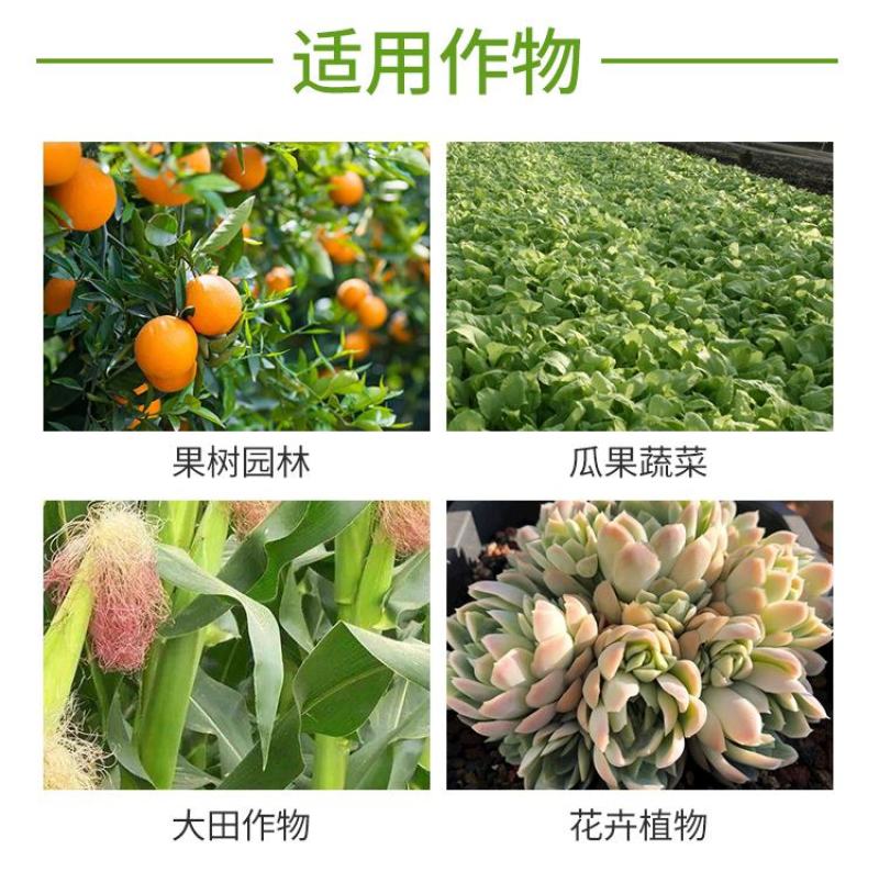 80%代森锰锌杀菌剂霜霉病疫病炭疽病叶斑病疮痂病锈病包邮