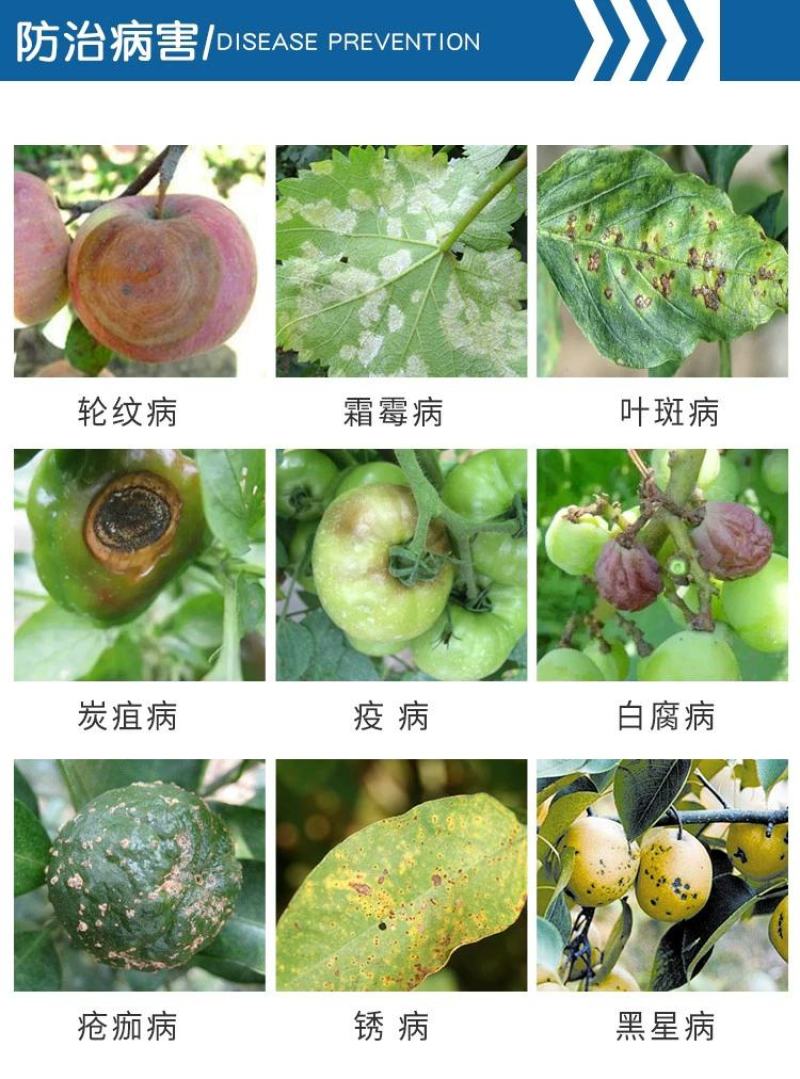 80%代森锰锌杀菌剂霜霉病疫病炭疽病叶斑病疮痂病锈病包邮