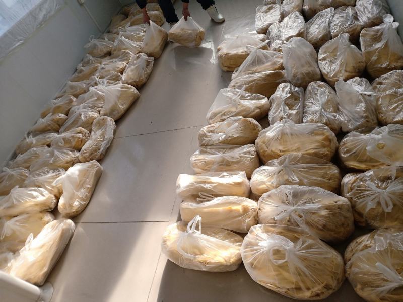 鲜油皮，鲜油皮条，豆制品深加工产品，大豆蛋白制品