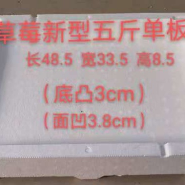草莓泡沫箱草莓包装