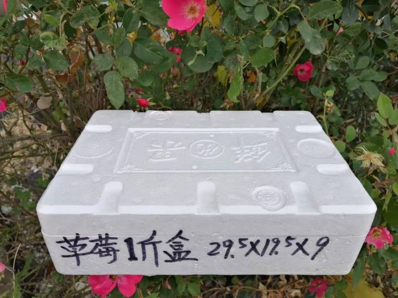 草莓泡沫箱草莓包装