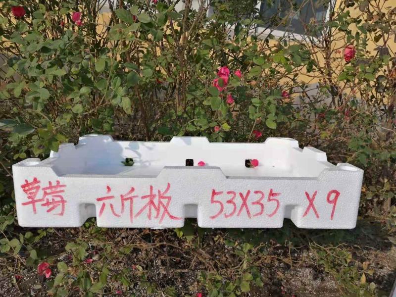 草莓泡沫箱草莓包装
