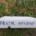 草莓泡沫箱草莓包装
