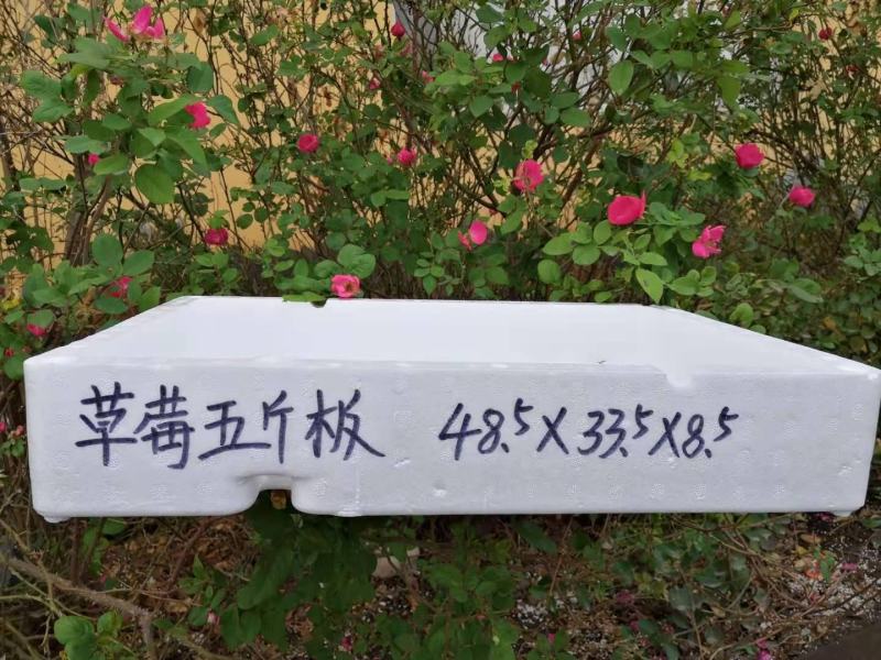 草莓泡沫箱草莓包装