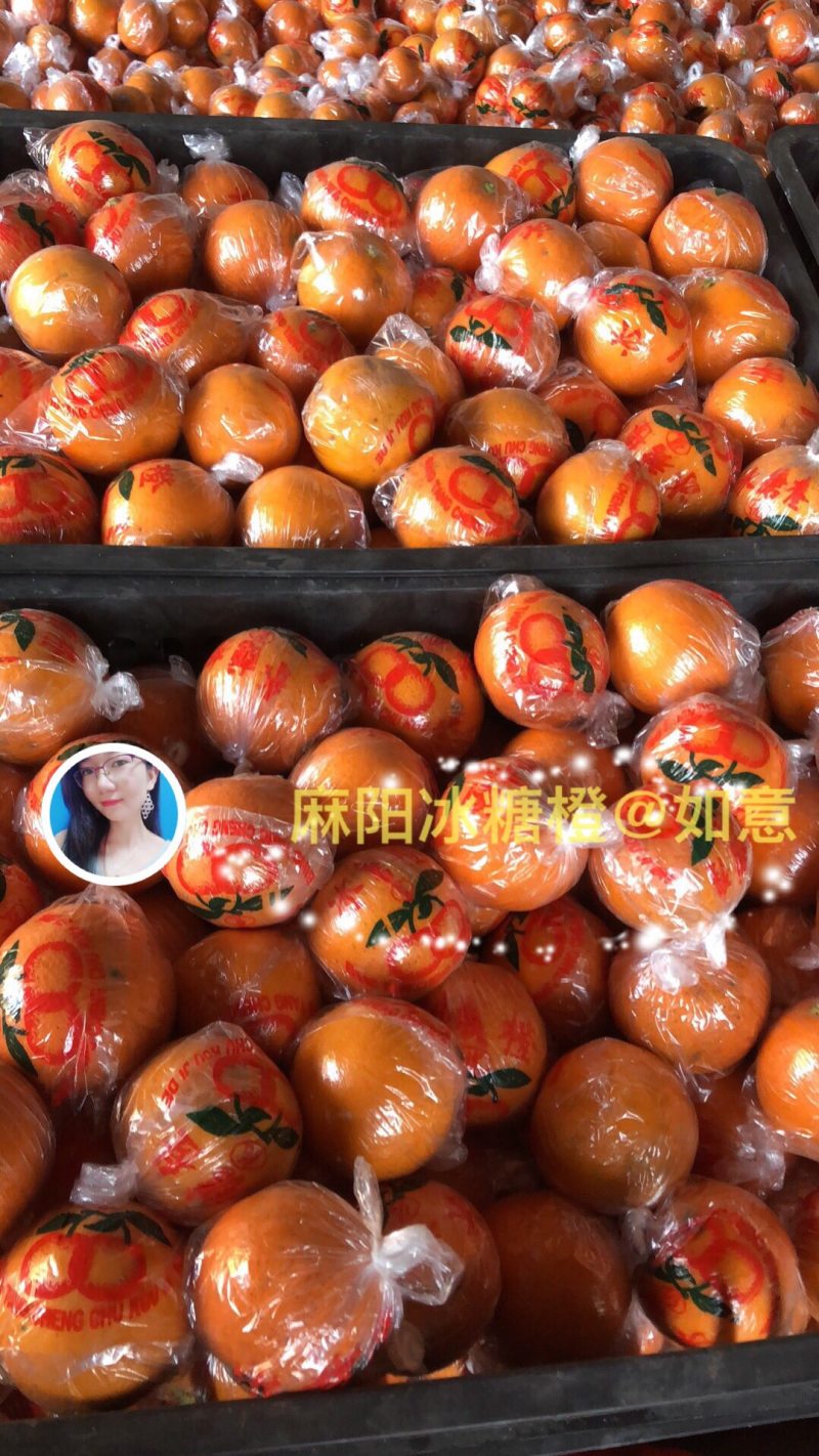 正宗麻阳冰糖橙手剥橙甜橙当季新鲜水果社区团购整车批发