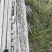 木方（建筑木方、方条）