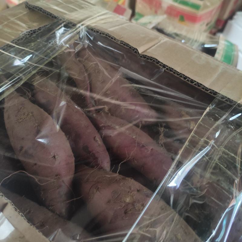 玛莎莉红薯、日系品种玛莎莉黄金薯软糯香甜