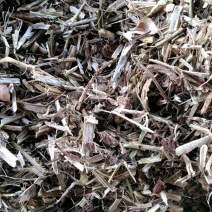 无土无霉除膜花生秧，玉米杆青黄青储