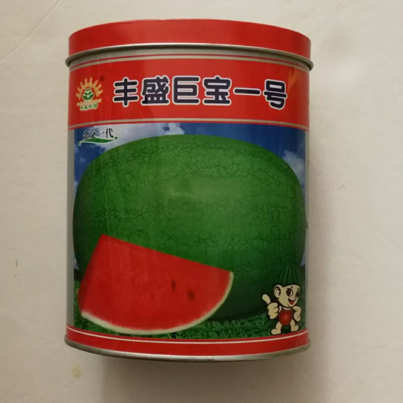 西瓜种子露天种植品种沙漠绿洲种子冰糖麒麟瓜种子