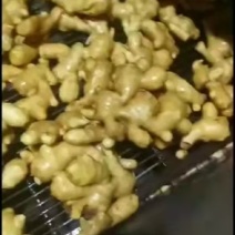 常年大量供应优质大黄姜，小黄姜，货源充足，品质保证