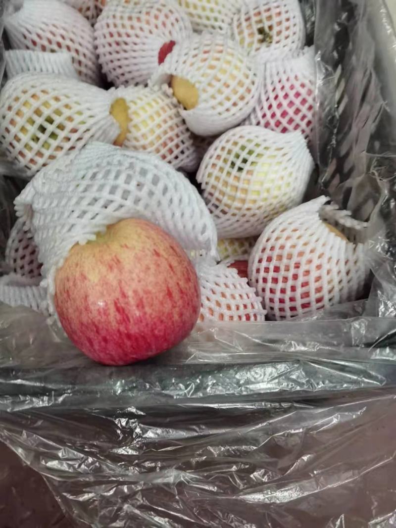 苹果啊克苏，新疆啊克苏，量大从优，可供超市，价格合理