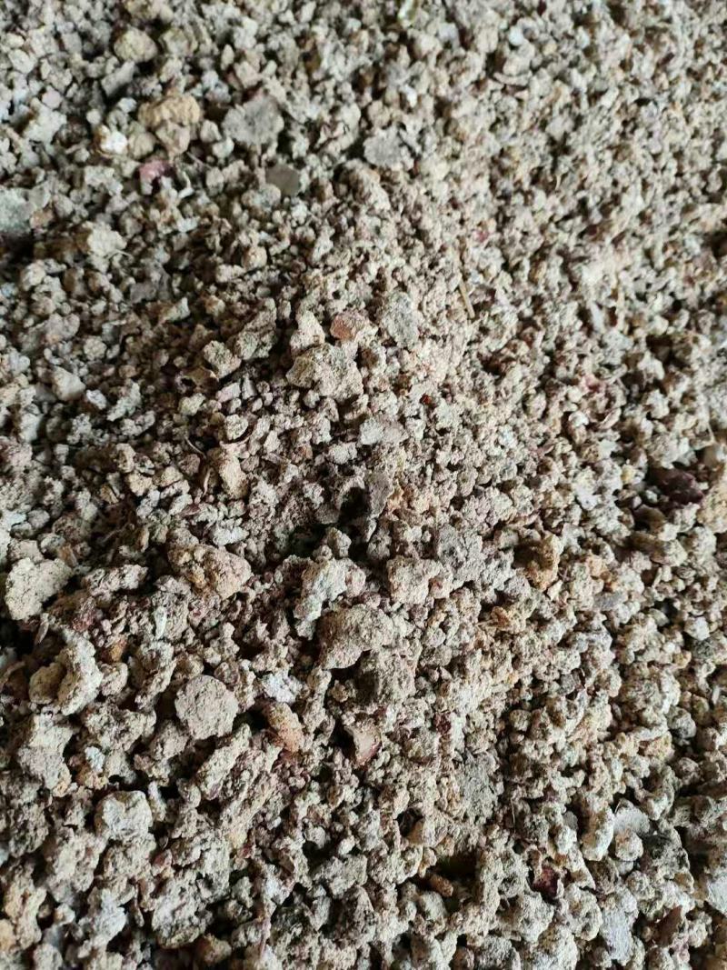 红薯渣干粉渣现货销售