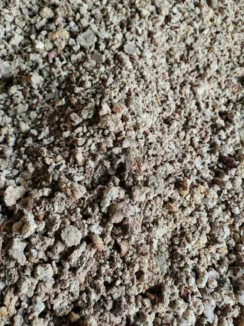 红薯渣干粉渣现货销售