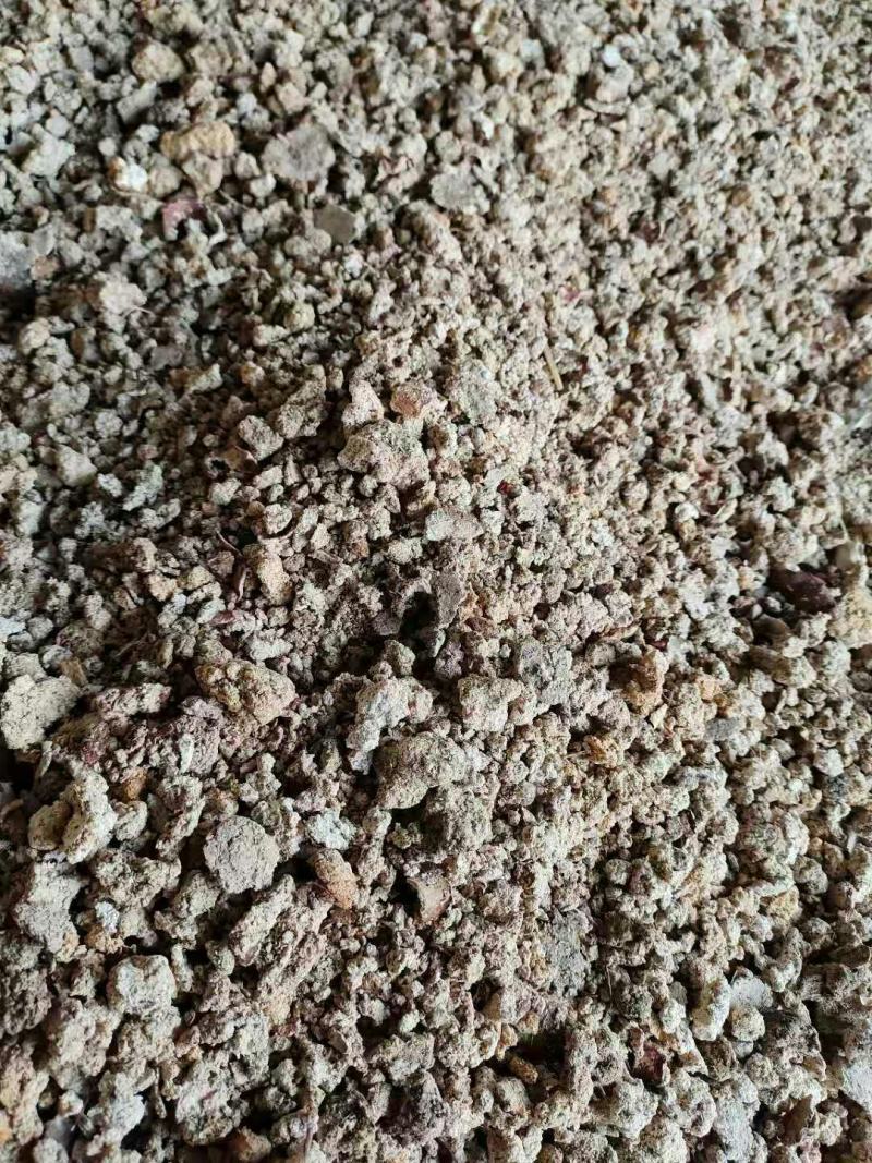 红薯渣干粉渣现货销售