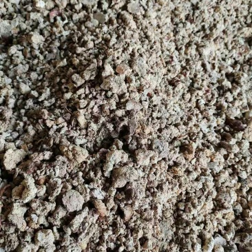 红薯渣干粉渣现货销售