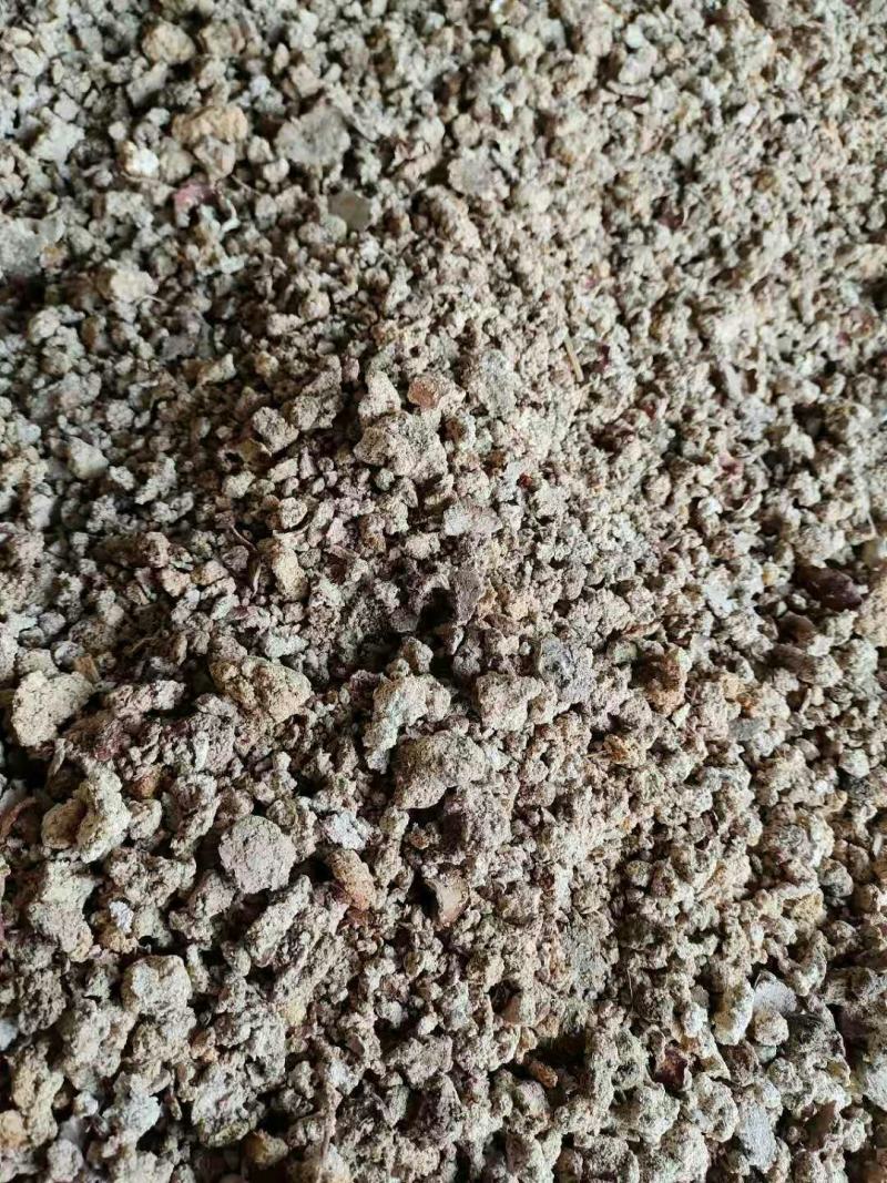 红薯渣干粉渣现货销售