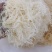 精品龙须菜（鹿角菜）。。龙须菜。。。。。。