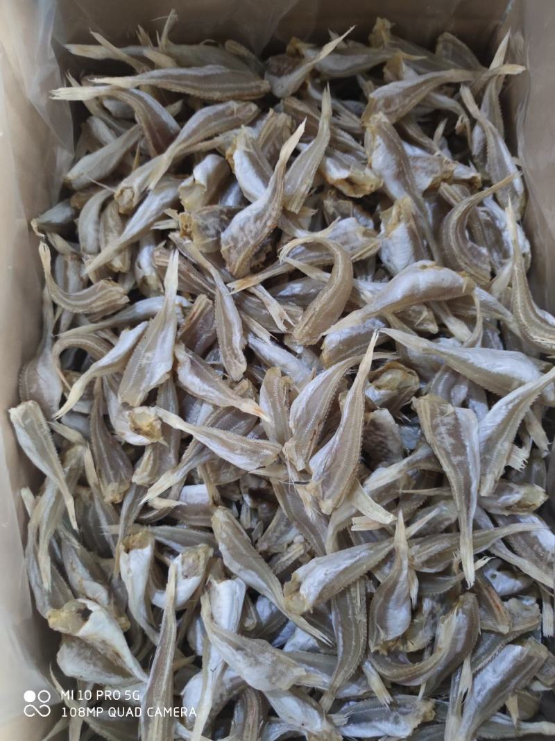 北海特产红娘鱼玉角六角头小鱼干北部湾海鲜晒场直接出货