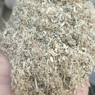 饲料花生秧子细粉无土无膜无霉变