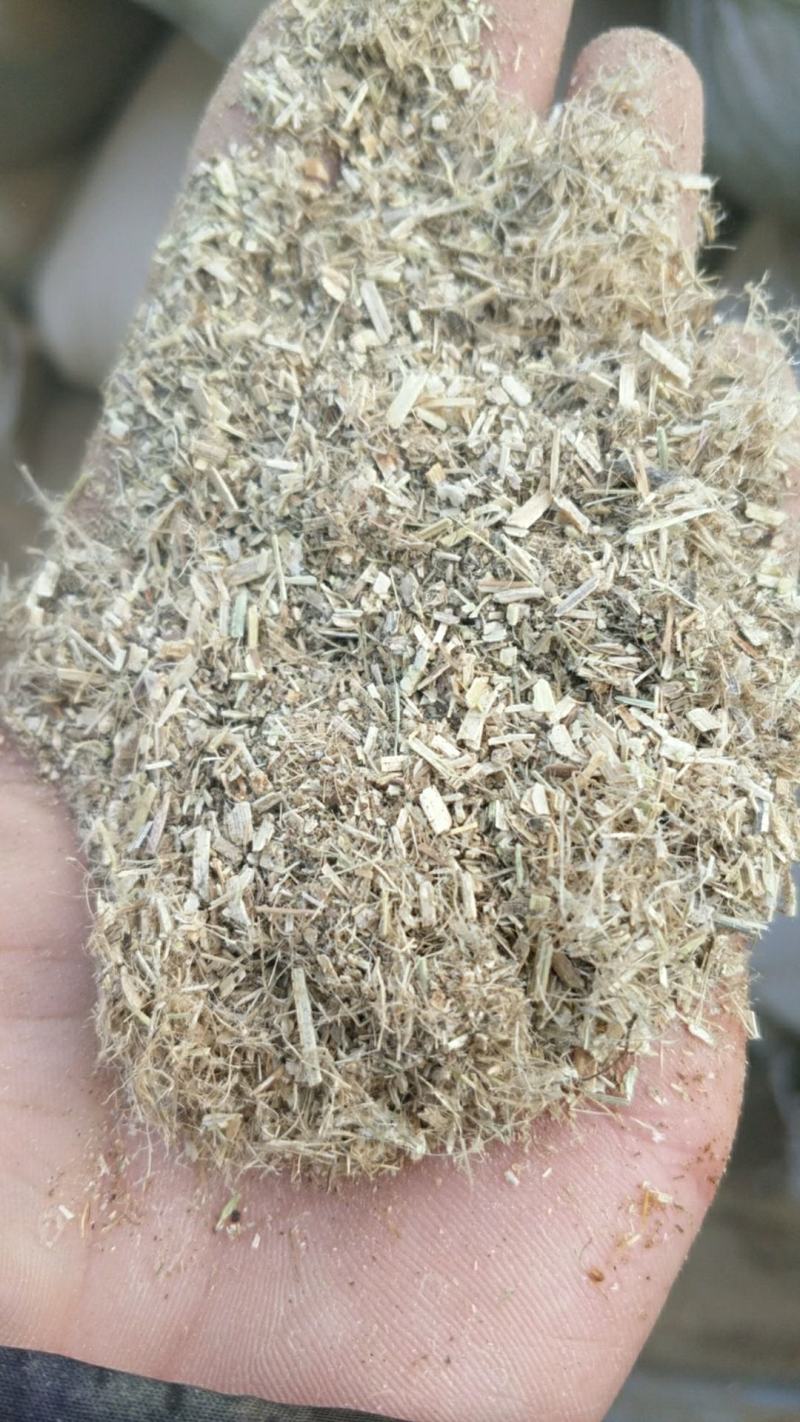 饲料花生秧子细粉无土无膜无霉变