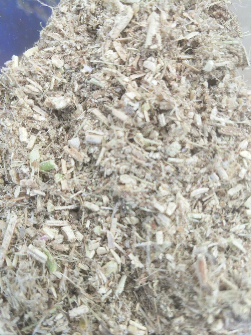 饲料花生秧子细粉无土无膜无霉变