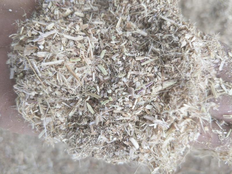 饲料花生秧子细粉无土无膜无霉变