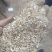 饲料花生秧子细粉无土无膜无霉变