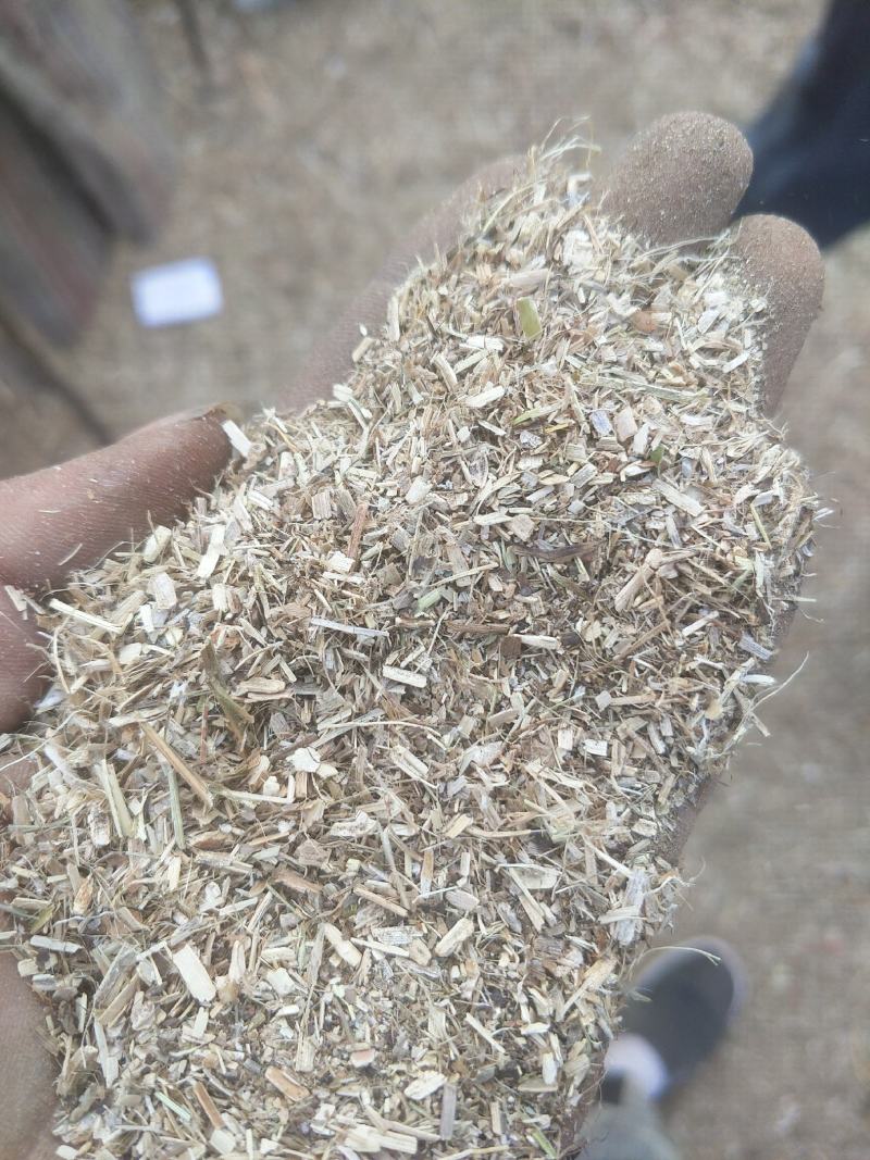 饲料花生秧子细粉无土无膜无霉变