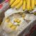 进口菲律宾香蕉净重二十七斤，以二十到二十五元为主