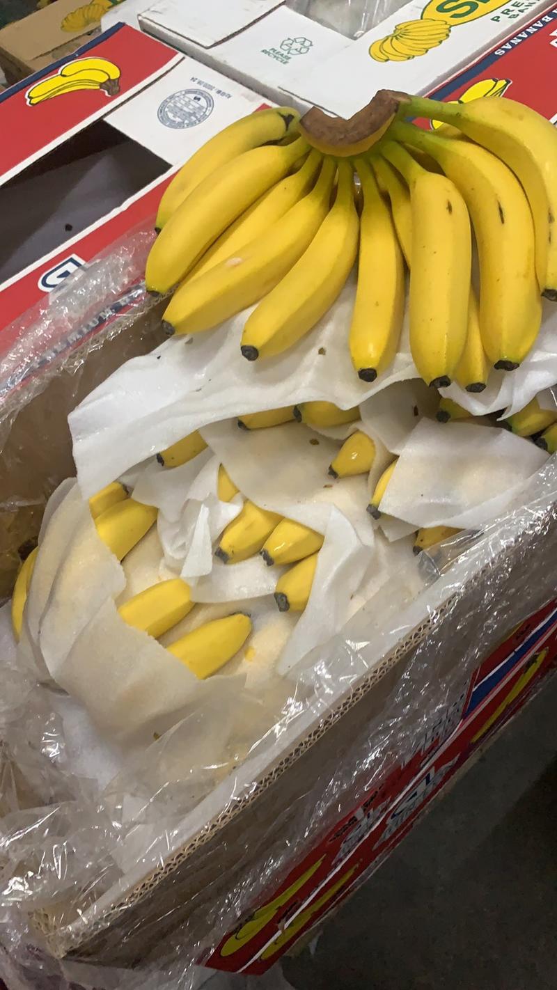 进口菲律宾香蕉净重二十七斤，以二十到二十五元为主