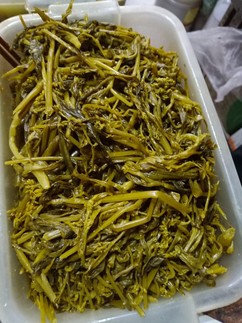 云南普洱腌制青菜苔菜花