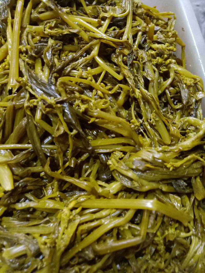 云南普洱腌制青菜苔菜花