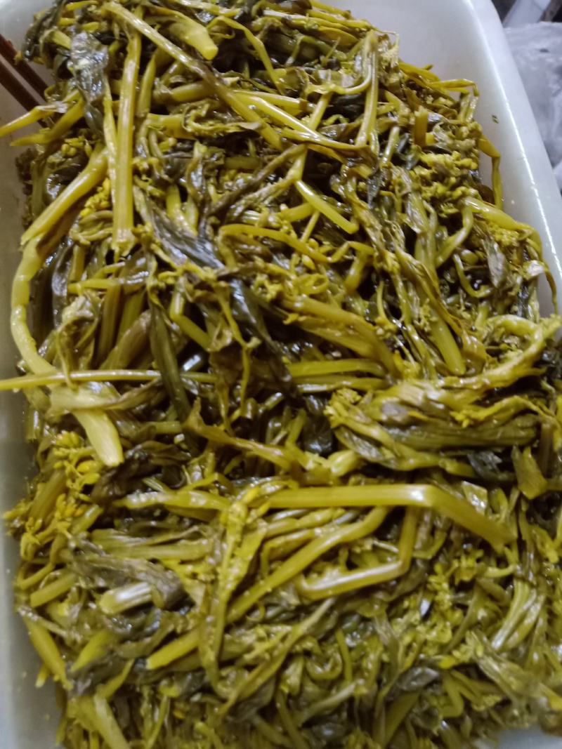 云南普洱腌制青菜苔菜花