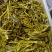 云南普洱腌制青菜苔菜花