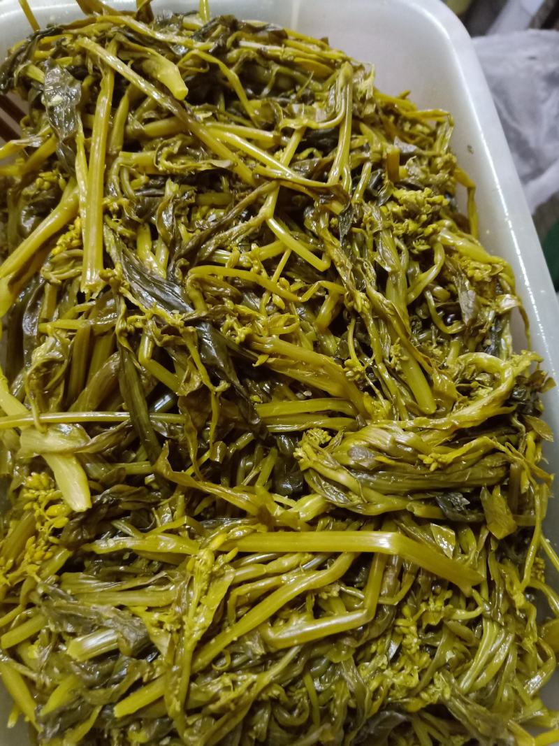 云南普洱腌制青菜苔菜花