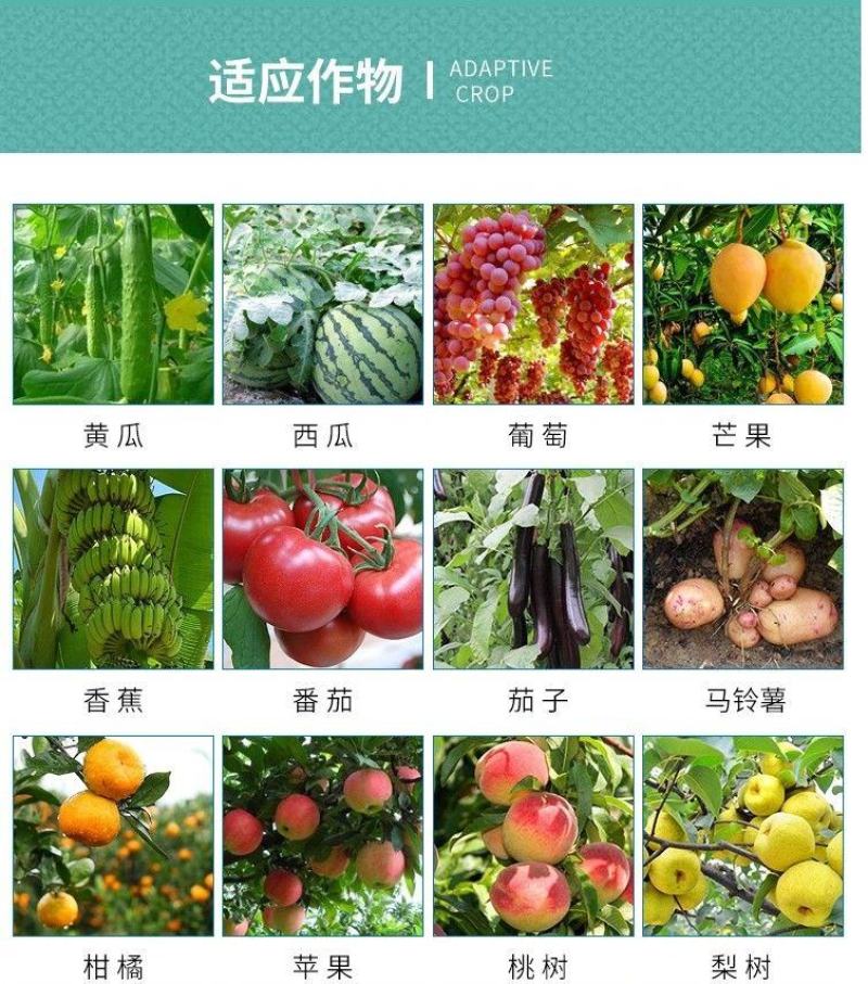 祥龙亮装40%苯甲嘧菌酯草莓葡萄白粉病杀菌剂