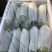 优质绿皮西葫芦量大发往全国各地有需要的前来参观
