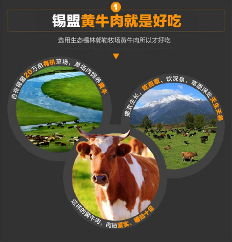 蒙燃牛肉干蒙古正宗手撕牛肉干小包装零食小吃店铺优惠券
