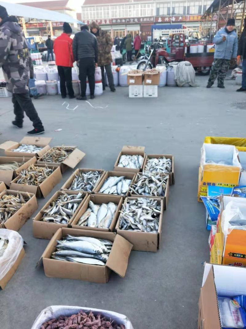 黄金鲅鱼腌制咸鱼干，开背去内脏可视频看货一手货源无差价