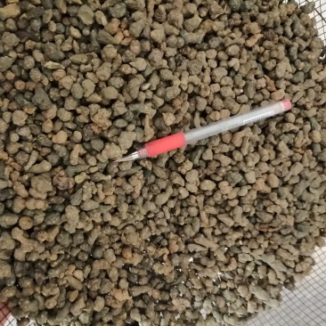 批发野生夏天无，一手货源，诚信经营，都是人工挑选！！
