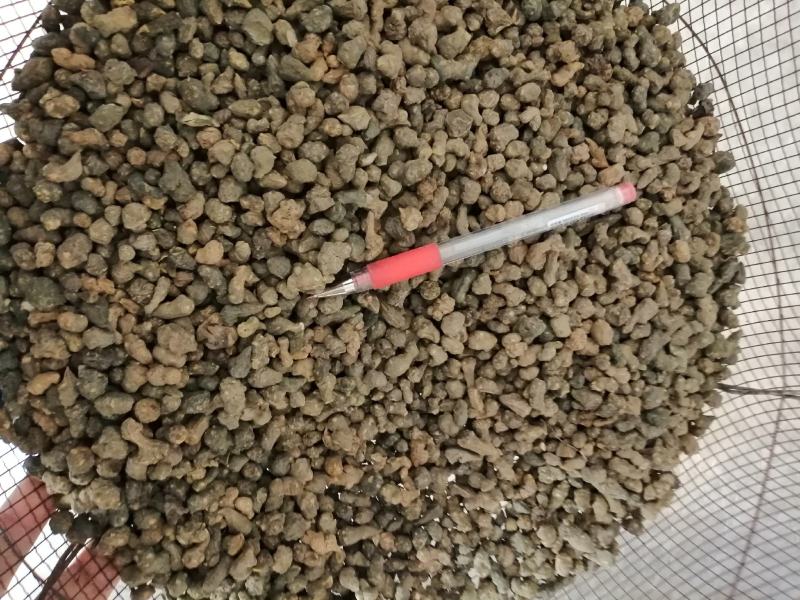 批发野生夏天无，一手货源，诚信经营，都是人工挑选！！