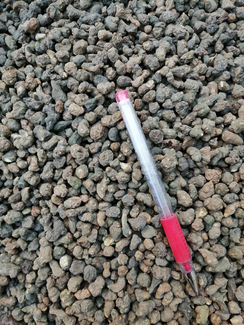 批发野生夏天无，一手货源，诚信经营，都是人工挑选！！
