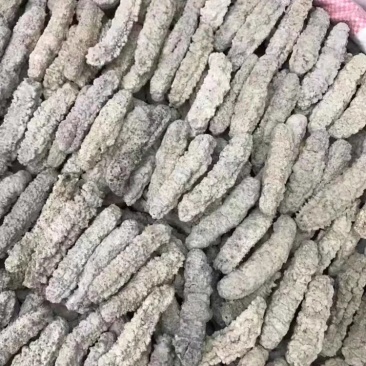 海参黄肉参原产发量大口感好