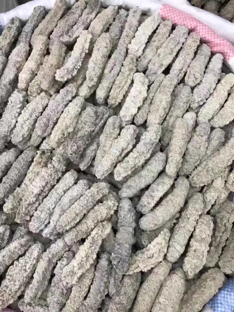 海参黄肉参原产发量大口感好