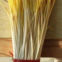 精品蒜黄，质优价廉，大量有货