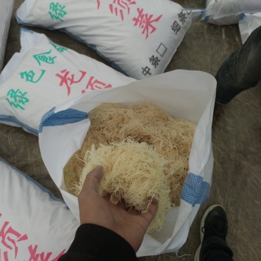 优质一手货源龙须菜潮菜，量大可按要求制作，条细白净。