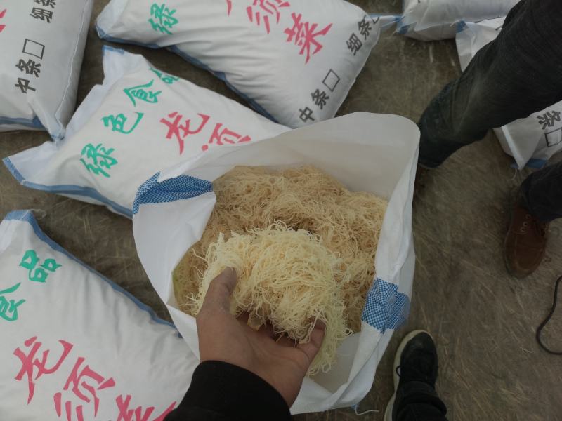 优质一手货源龙须菜潮菜，量大可按要求制作，条细白净。