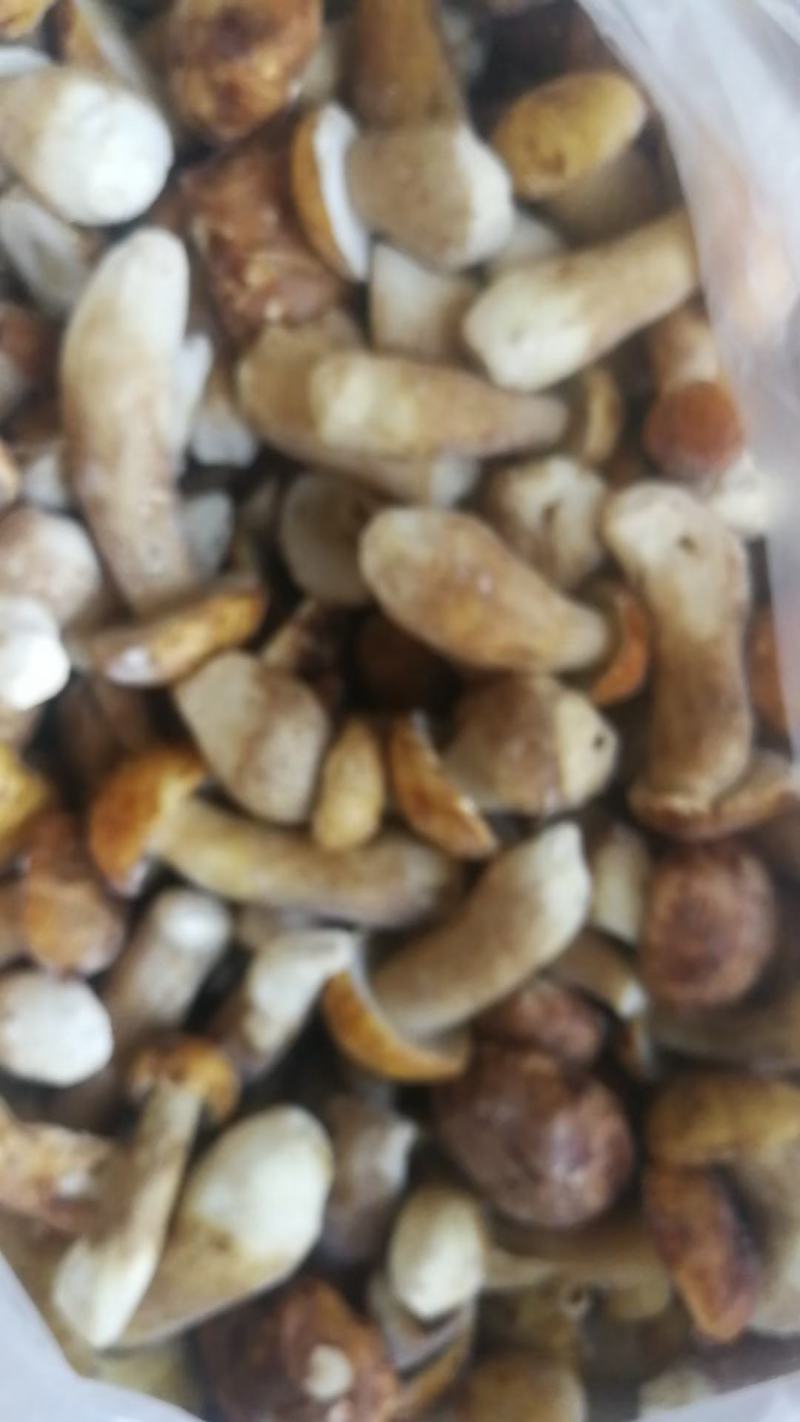 云南特产冰冻白牛肝菌美味牛肝菌大脚菇菌冻品产地直销
