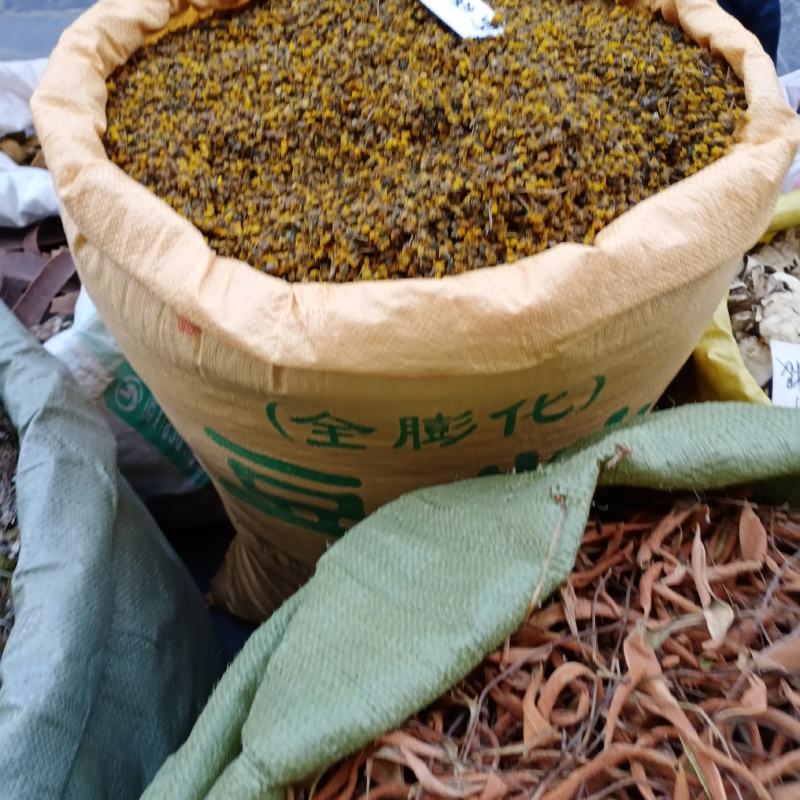 新货野生菊花干货，干净无杂，支持线上交易欢迎订购