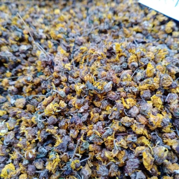 新货野生菊花干货，干净无杂，支持线上交易欢迎订购